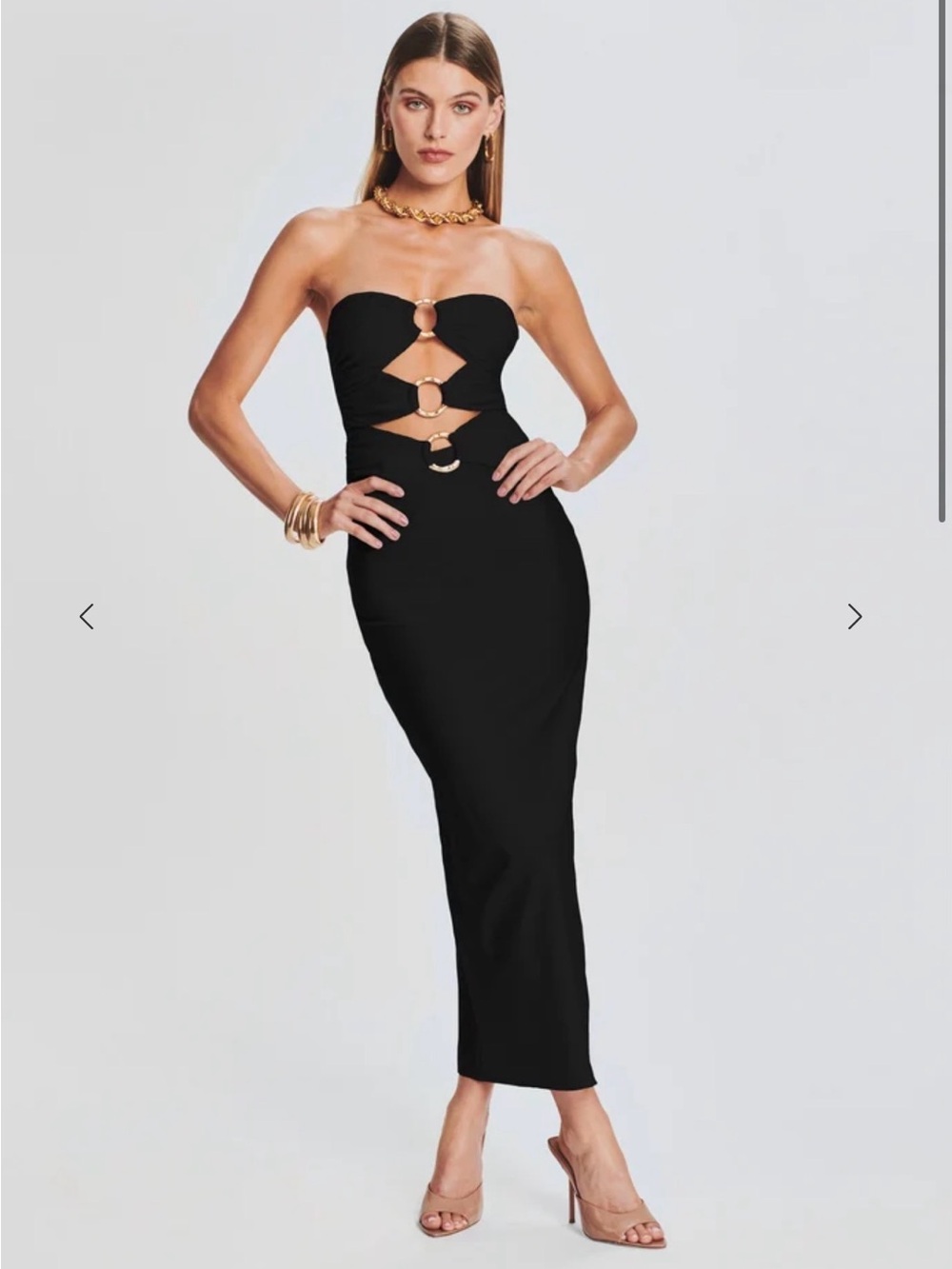 Shani Shemer Lily Lycra Maxi Dress